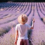 No- and Low-Alcohol Category Value<br>Surpasses $11bn in 2022