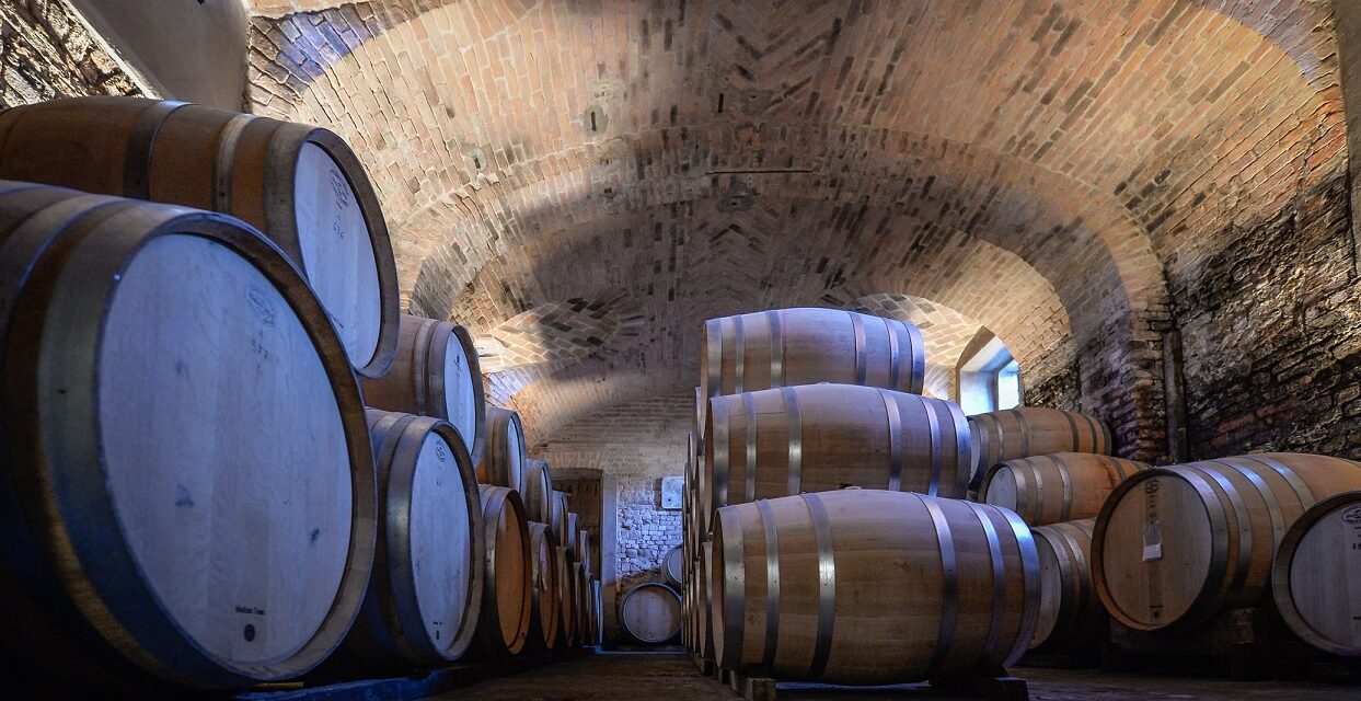 Celebrating its 45th edition, Vinum puts the spotlight on the great wines of Piedmont during two weekends in Alba.