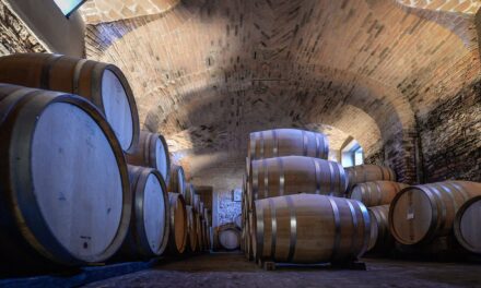 Celebrating its 45th edition, Vinum puts the spotlight on the great wines of Piedmont during two weekends in Alba.