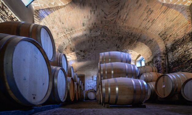 Celebrating its 45th edition, Vinum puts the spotlight on the great wines of Piedmont during two weekends in Alba.