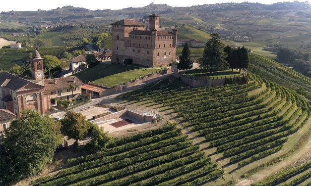 ITALIAN VINEYARD ASSET WORTH 56 BILLION EUROS