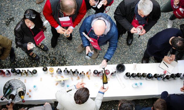 Rewine 2023 Showcases Canavese’s Innovative Wineries and Exceptional Wines