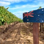 A Mixed Bag for Global Wine Exports in 2022: Australia, New Zealand, and South Africa’s Performances