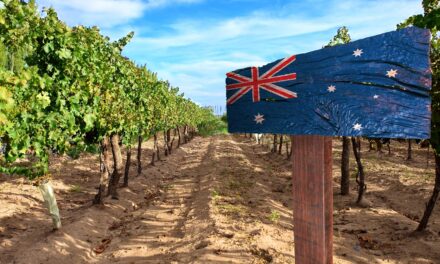 A Mixed Bag for Global Wine Exports in 2022: Australia, New Zealand, and South Africa’s Performances