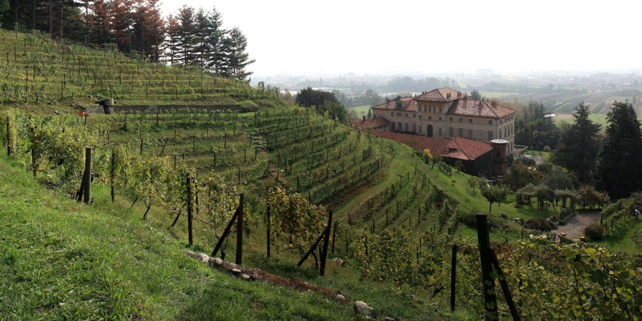 Vigliano Biellese: Piedmont’s Hidden Gem in the Global Wine Landscape