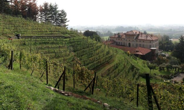 Vigliano Biellese: Piedmont’s Hidden Gem in the Global Wine Landscape