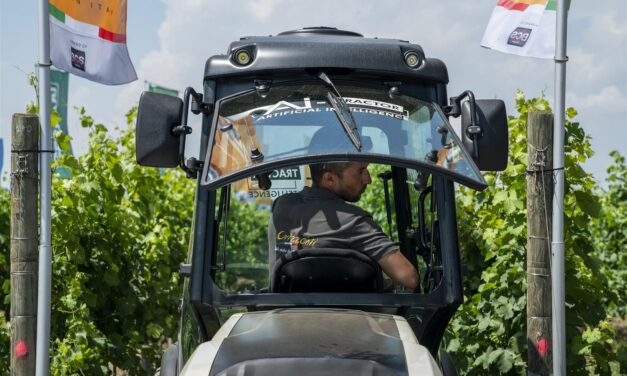 Italy: A Global Leader in Wine Technology and Machinery