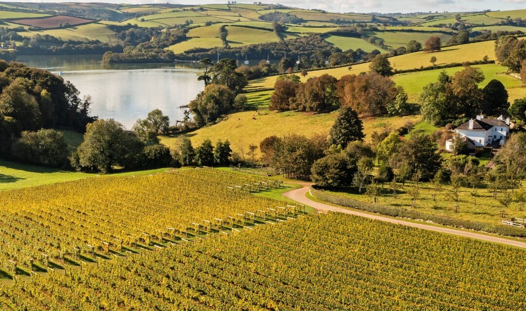 WineGB’s 2023 Report: The UK Wine Industry’s Remarkable Leap Forward