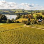 WineGB’s 2023 Report: The UK Wine Industry’s Remarkable Leap Forward