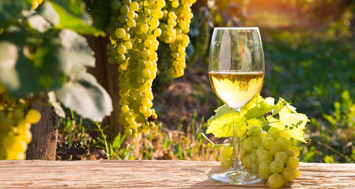 Exploring the Evolution of the Global White Wine Market Amid Geopolitical Disruptions and Trends