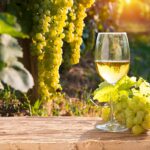 Exploring the Evolution of the Global White Wine Market Amid Geopolitical Disruptions and Trends