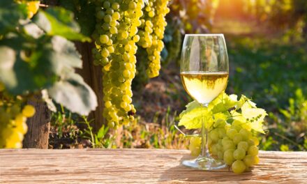 Exploring the Evolution of the Global White Wine Market Amid Geopolitical Disruptions and Trends