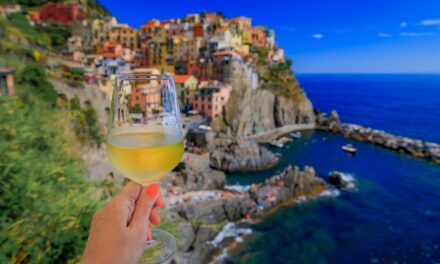 Italian Wine Industry on the Rise, with Sparkling Wines Leading Growth