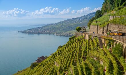 The Heroic Wines of the World: Celebrating the Mondial des Vins Extrêmes