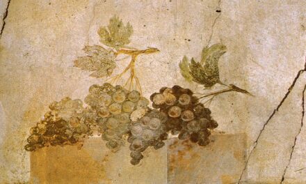 Pompeii: A Celebration of Ancient Viticulture and Wine – September 2-3, 2023