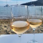 Savoring Greece: A Wine Journey Through the Enchanting Island of Sifnos