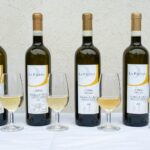 La Palera: Where Tradition and Nature Create Exceptional Erbaluce Wines