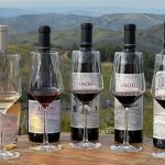 Treasury Wine Estates Bolsters Luxury Portfolio with Daou Vineyards Acquisition