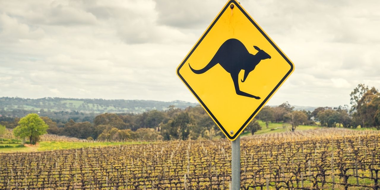 A New Dawn for Australian Wine: China Lifts Punitive Tariffs