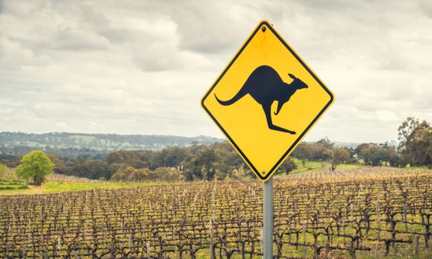 A New Dawn for Australian Wine: China Lifts Punitive Tariffs