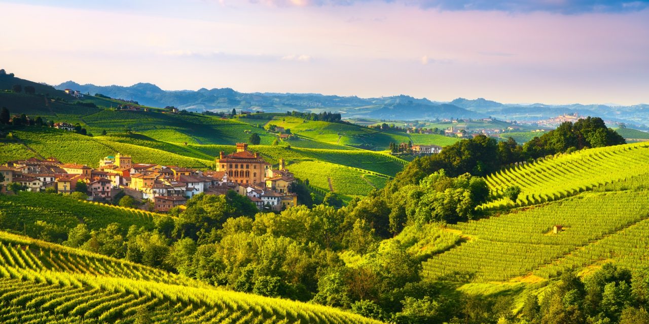 Big Debate in Barolo and Barbaresco: Navigating Climate Change and Tradition