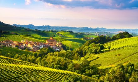 Big Debate in Barolo and Barbaresco: Navigating Climate Change and Tradition