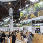 Barcelona Wine Week: A Toast to Expansion and Sustainability