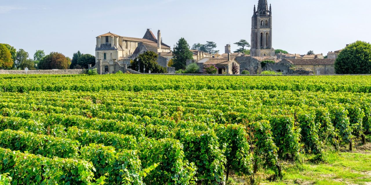 The French Vineyard Market: A Complex Landscape of Contrasts