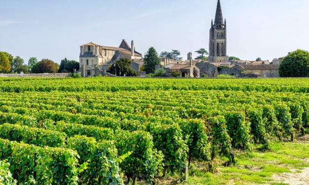 The French Vineyard Market: A Complex Landscape of Contrasts