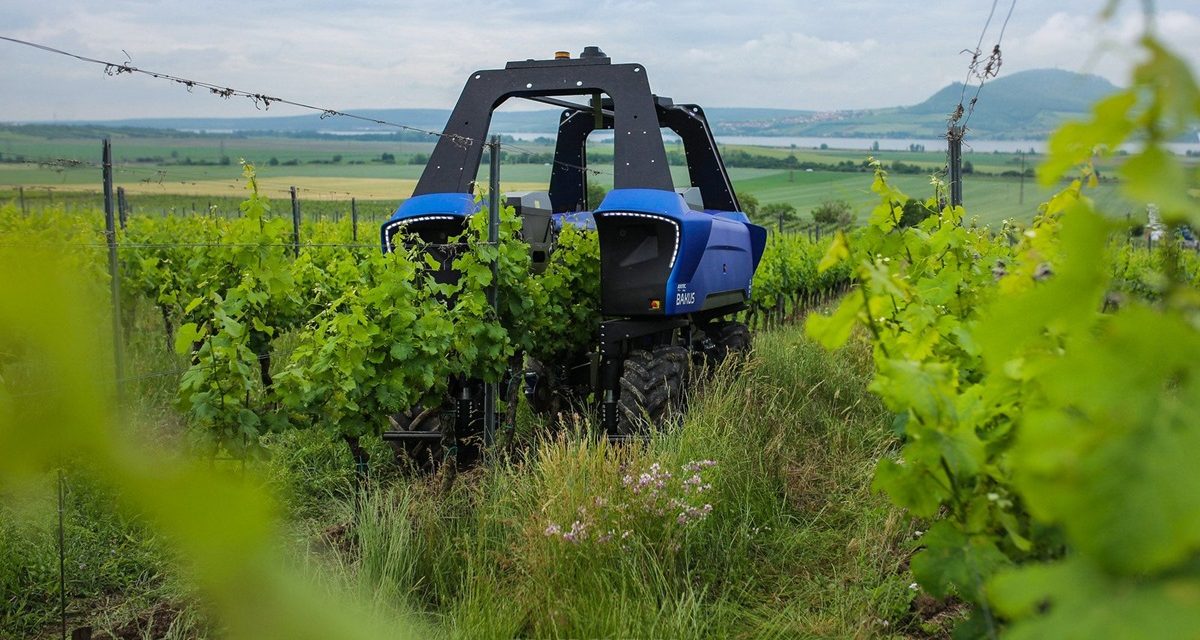 Marchesi Antinori Invests in Robotics