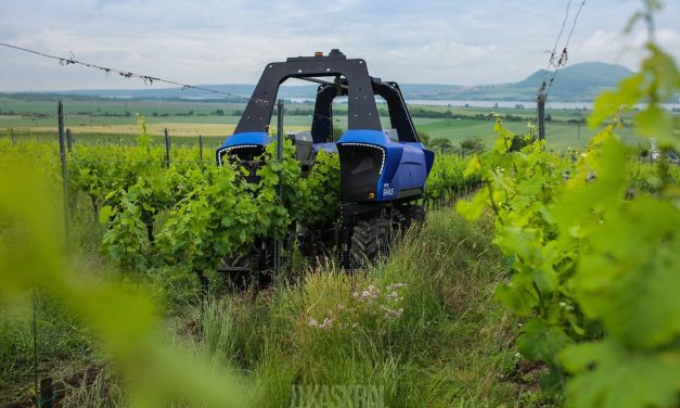 Marchesi Antinori Invests in Robotics