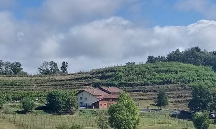 Ca’ Riunci: Between the History of Salussola and Viticultural Innovation in the Heart of Piedmont.