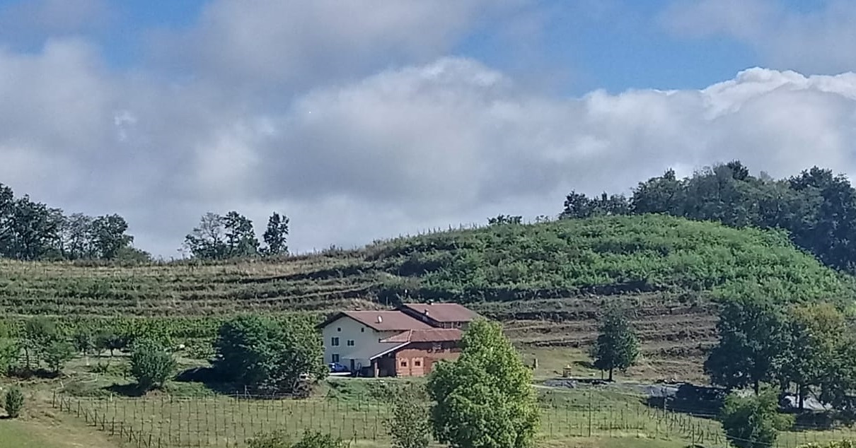 Ca’ Riunci: Between the History of Salussola and Viticultural Innovation in the Heart of Piedmont.