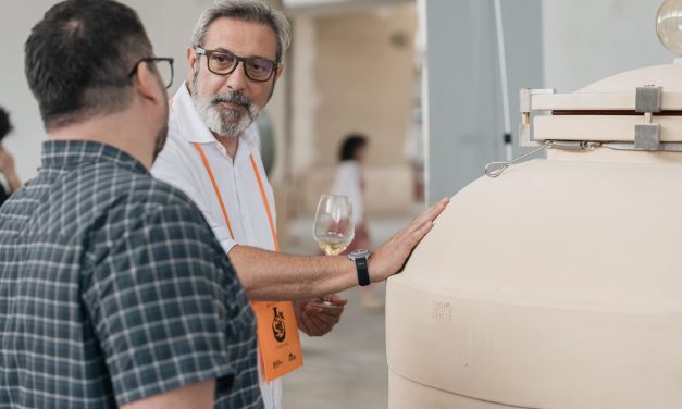 Amphora Revolution: A Celebration of Terracotta Winemaking