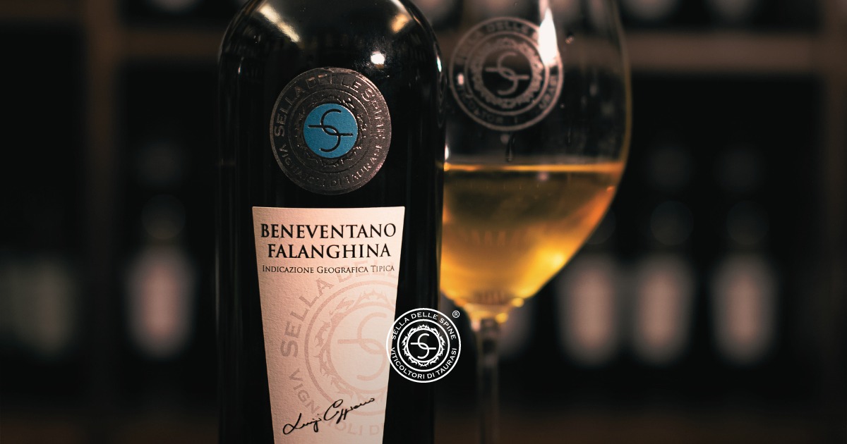 New identity bands for Italian IGT wines: enhancing traceability and consumer trust