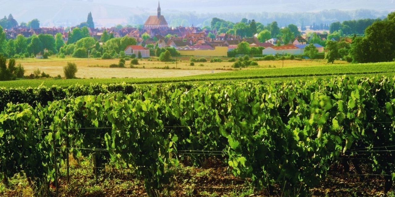 The Grand Burgundy Festival: A Celebration of Wine, Culture, and Family Fun