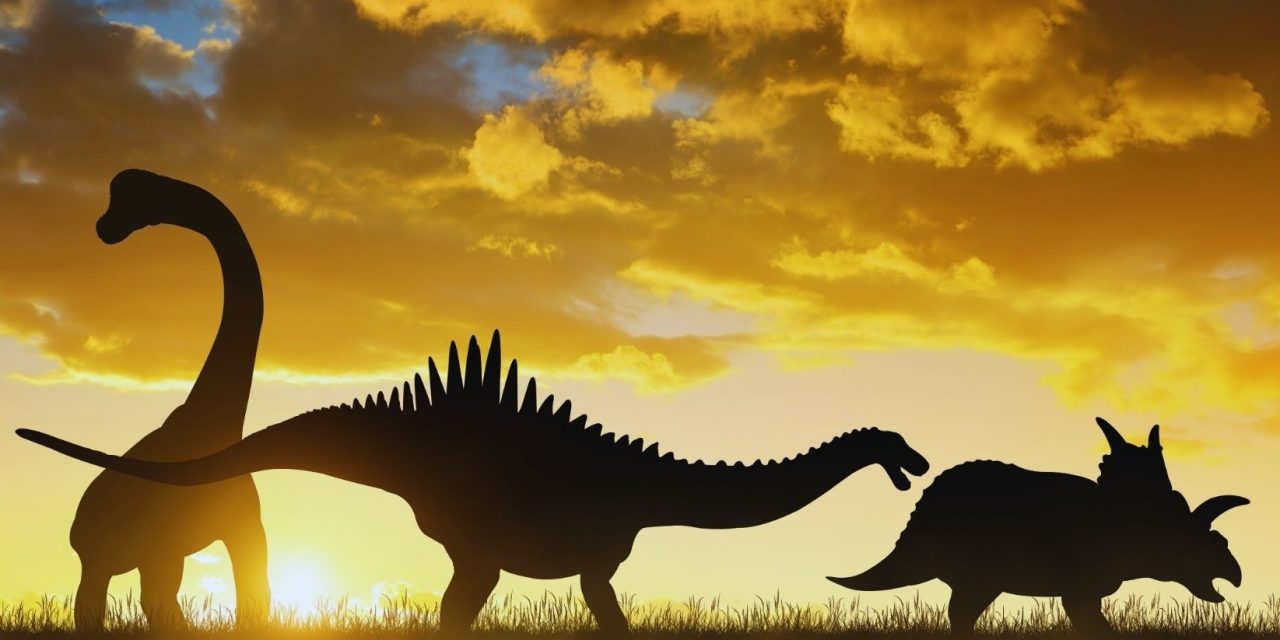 How the extinction of dinosaurs paved the way for wine