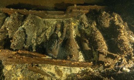 Baltic Sea Shipwreck Yields Over 100 Bottles of 19th-Century Champagne