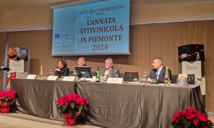 Piedmont’s 2024 Vintage: A Year of Growth and Global Success