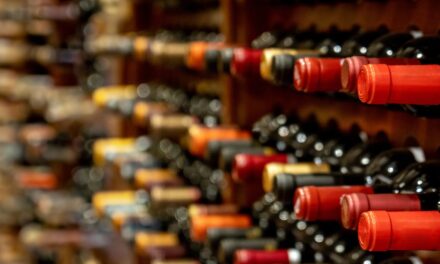 The wine industry’s  future: growth, trends, and challenges